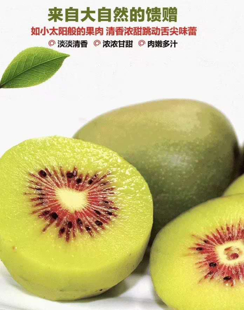 浙江绍兴万亩红阳红心猕猴桃上市了，各种规格都有。