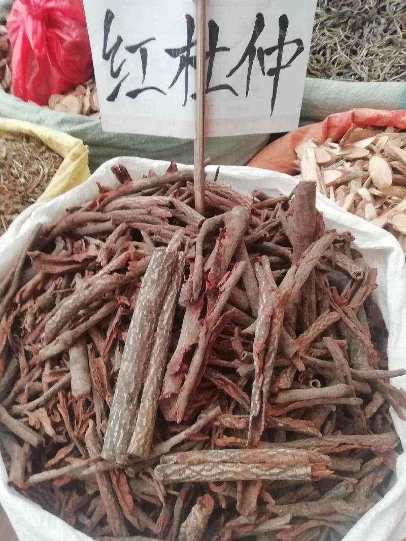 广西野生中药材杜仲藤，红杜仲皮批发加零售