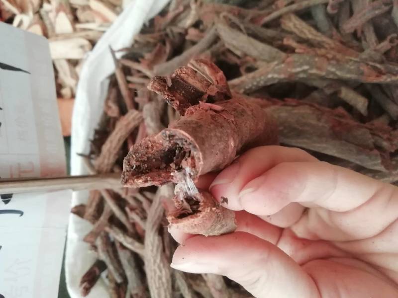 广西野生中药材杜仲藤，红杜仲皮批发加零售
