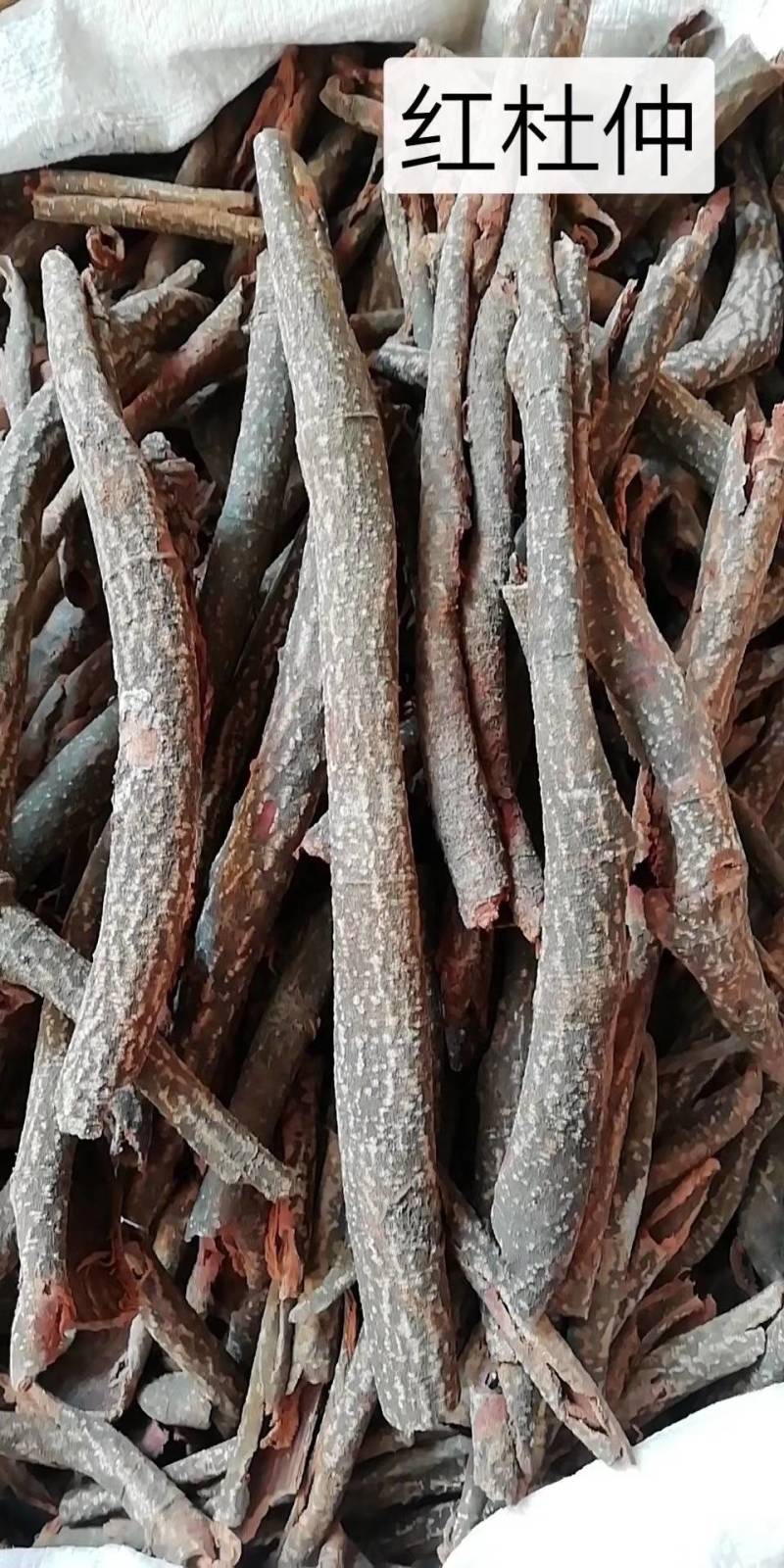 广西野生中药材杜仲藤，红杜仲皮批发加零售