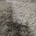 银针鱼渤海湾特无盐烘干而成