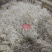 银针鱼渤海湾特无盐烘干而成