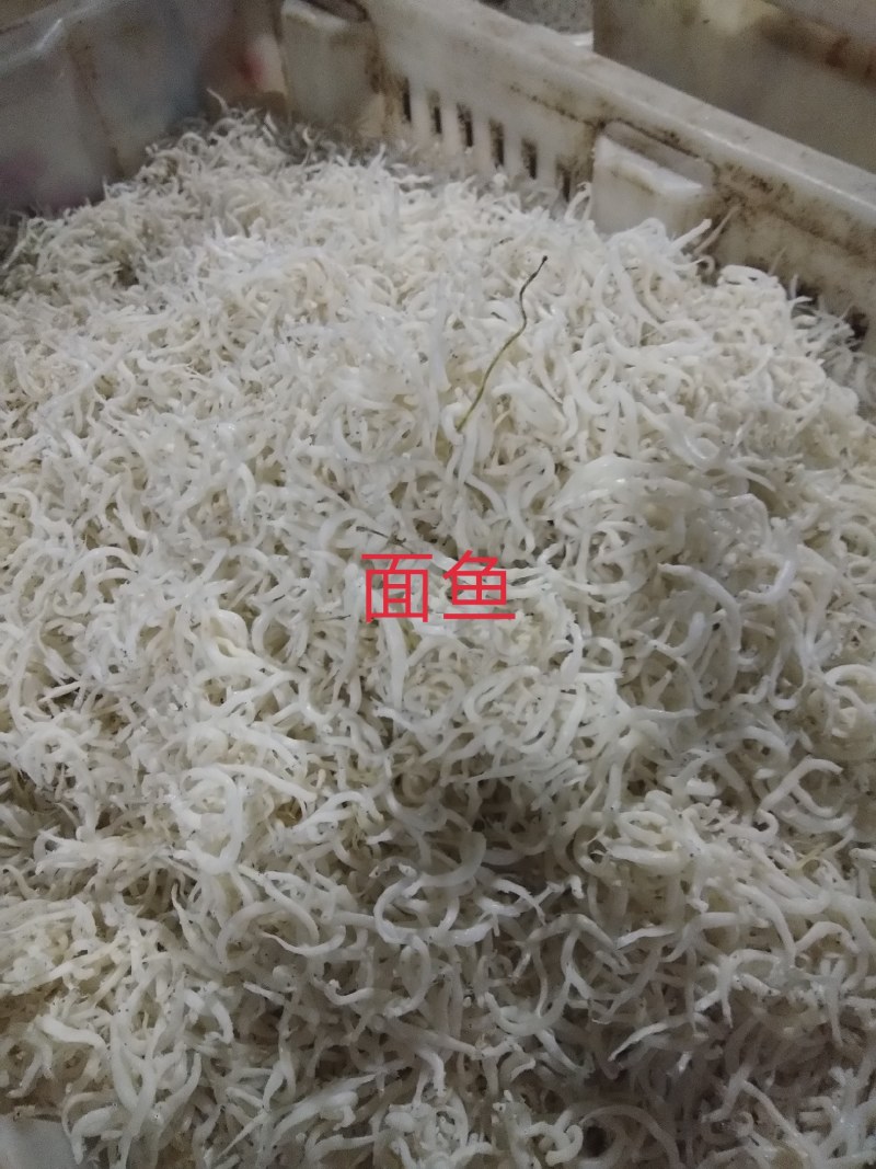 银针鱼渤海湾特无盐烘干而成