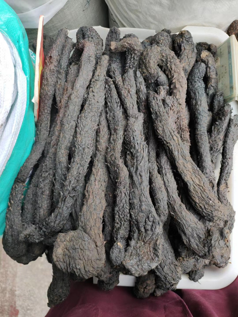 肉苁蓉软质肉苁蓉硬质肉苁蓉批发各种中药材