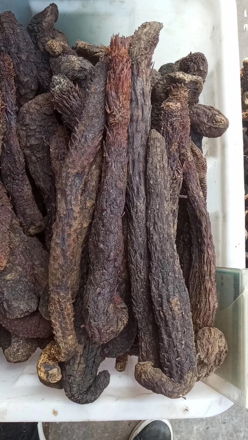 肉苁蓉软质肉苁蓉硬质肉苁蓉批发各种中药材