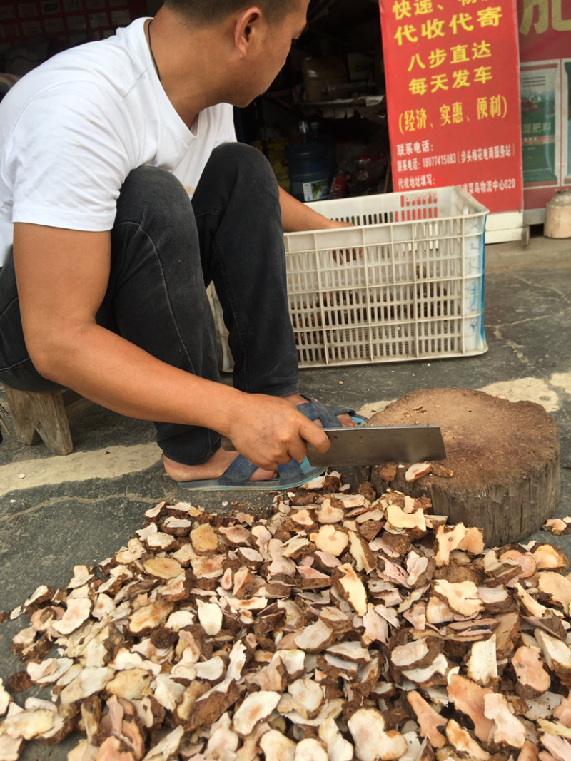 广西深山土茯苓