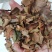 广西黄牛茶，黄牛木叶批发加零售