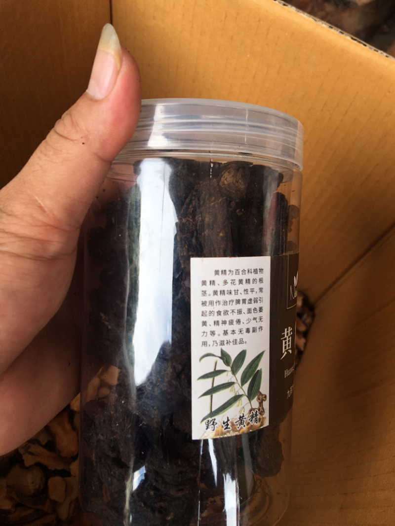 广西野生黄精