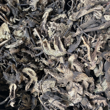 升麻东北货产地直销批发各种中药材