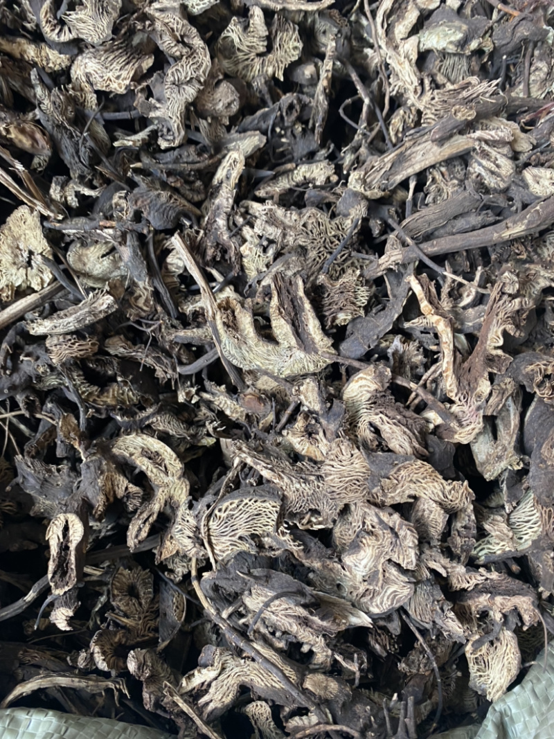 升麻东北货产地直销批发各种中药材