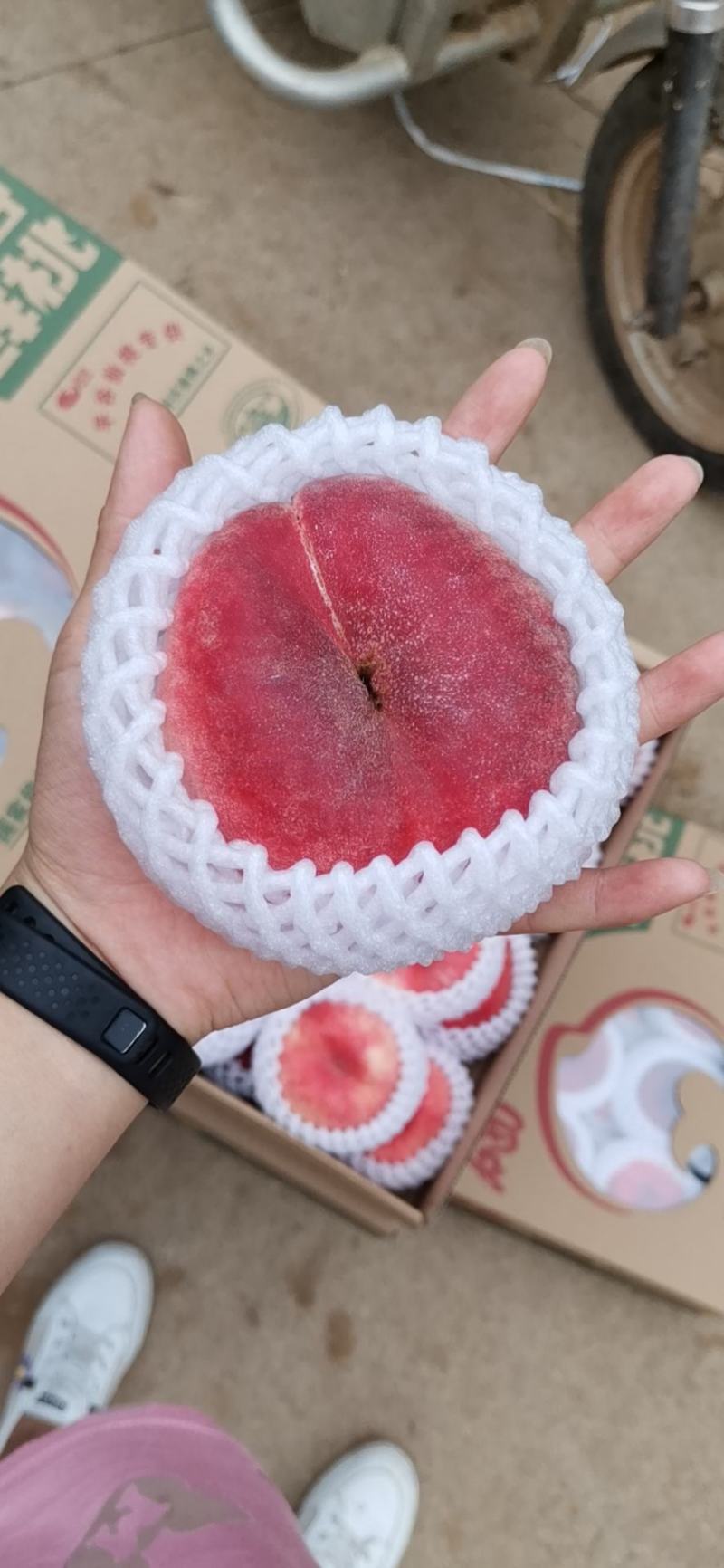 蟠桃