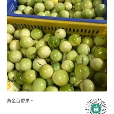 黄金百香果