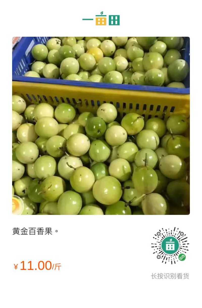 黄金百香果