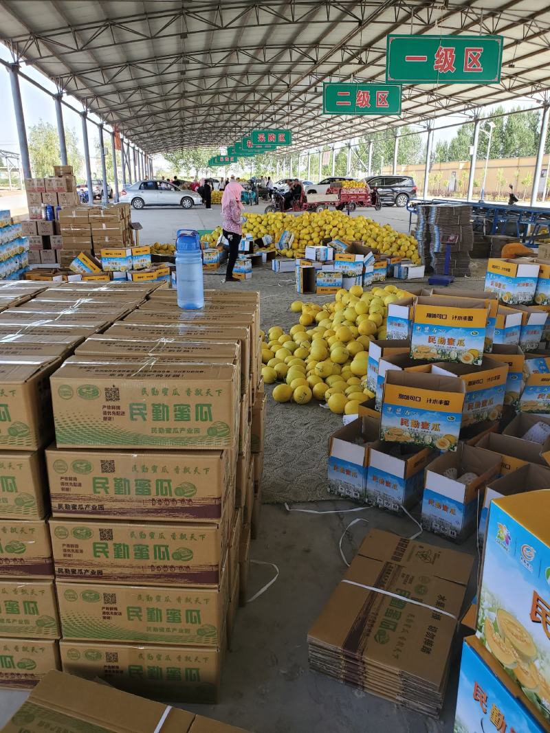 2020年民勤蜜瓜热销中