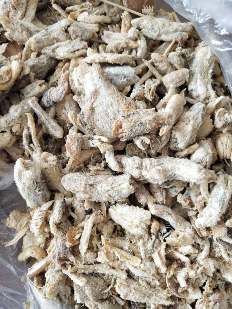 饲料鱼干