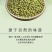 绿豆5斤东北小绿豆新鲜绿豆发豆芽散装绿豆精品绿豆罐装绿
