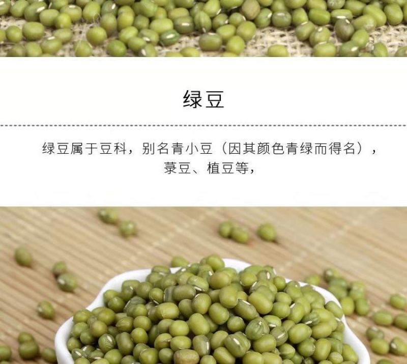 绿豆5斤东北小绿豆新鲜绿豆发豆芽散装绿豆精品绿豆罐装绿