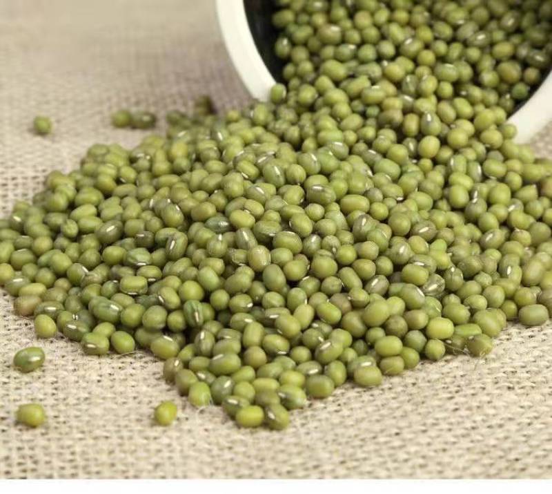 绿豆5斤东北小绿豆新鲜绿豆发豆芽散装绿豆精品绿豆罐装绿