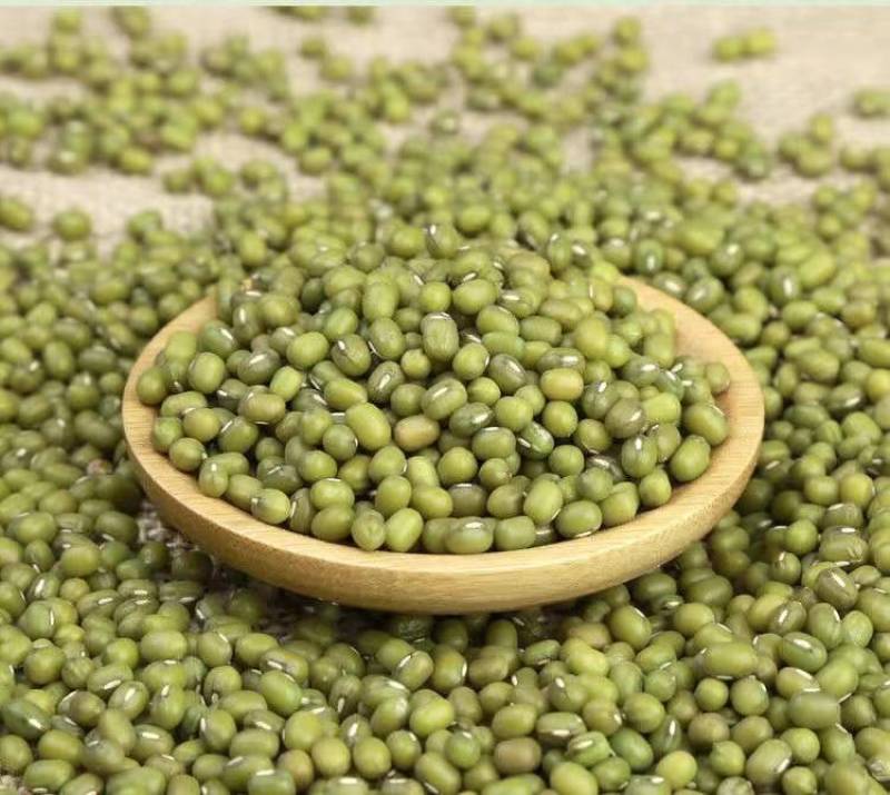 绿豆5斤东北小绿豆新鲜绿豆发豆芽散装绿豆精品绿豆罐装绿