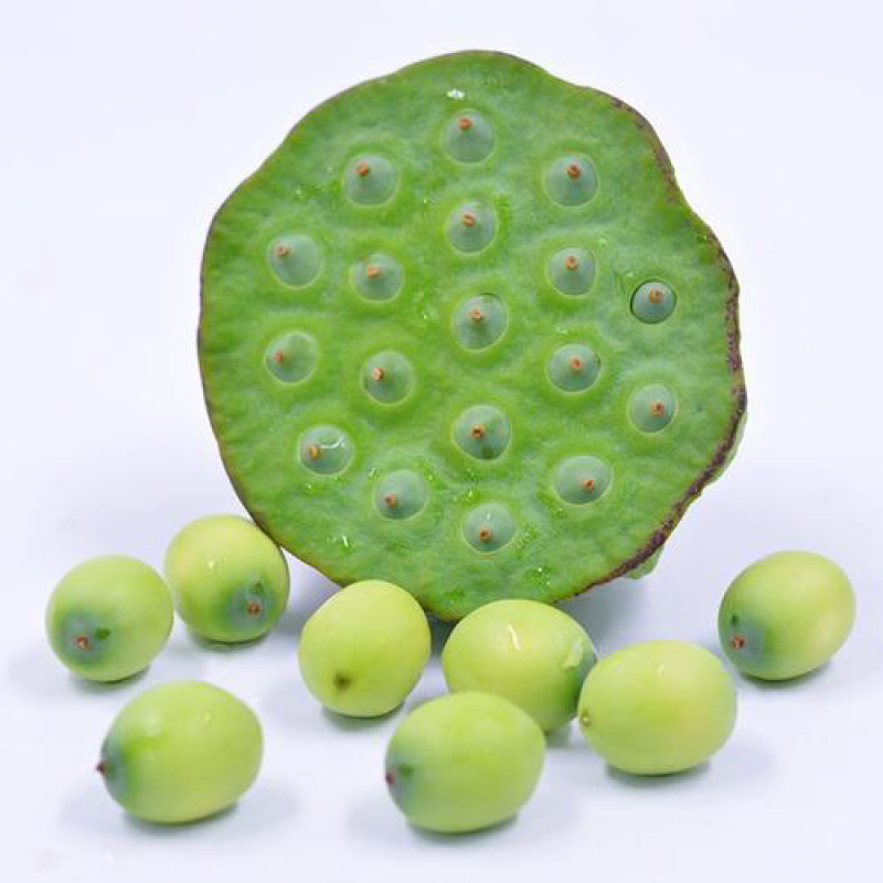 鲜莲蓬