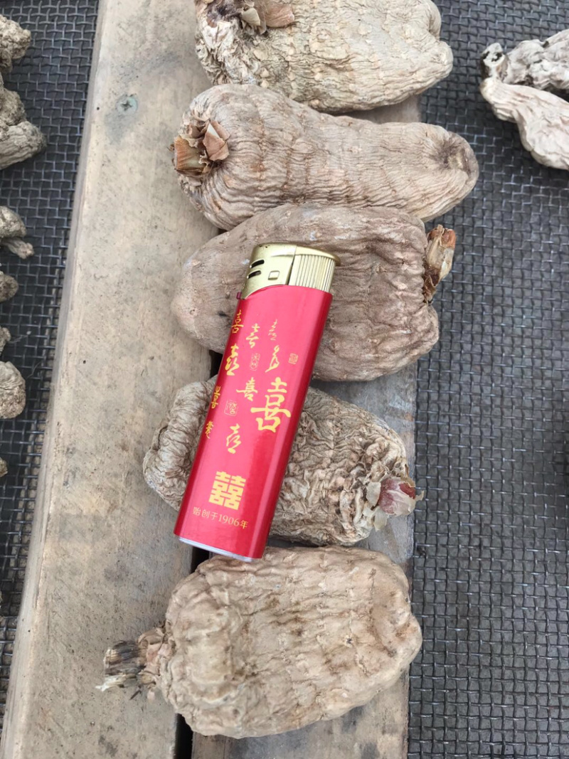 精品天麻，非人工种植天嘛……