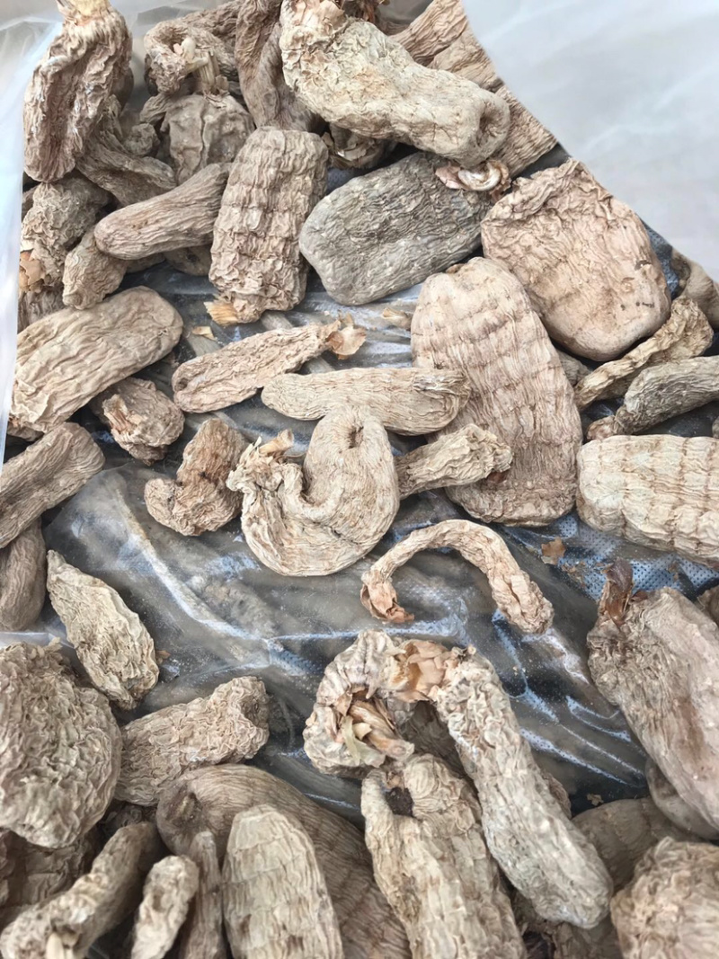 精品天麻，非人工种植天嘛……