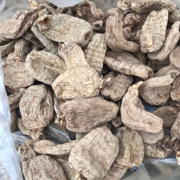 精品天麻，非人工种植天嘛……