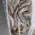 虾类