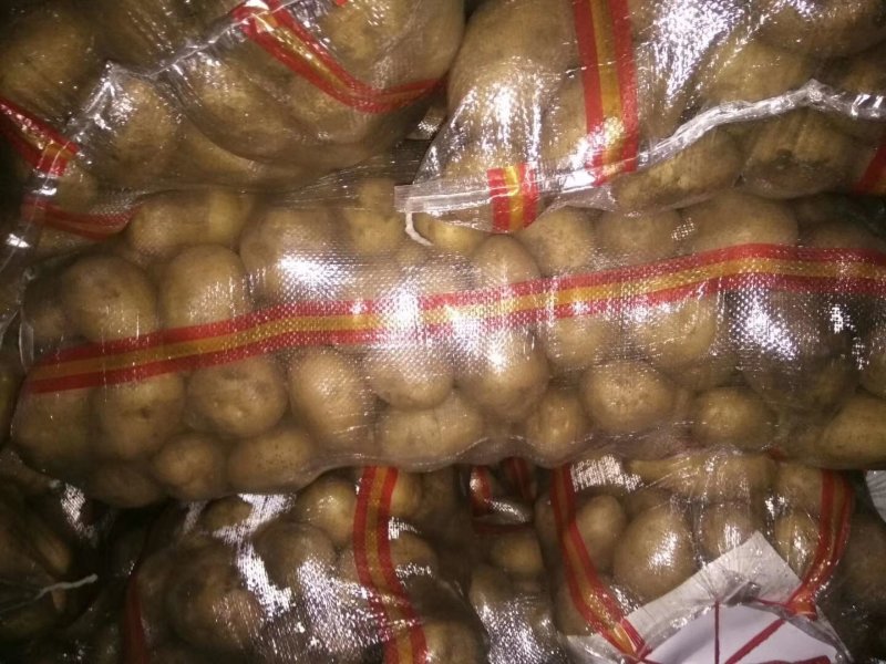 土豆，荷兰十五土豆，货源充足，质量好，产地直发，全国发货