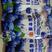 新疆蓝莓干，酸甜可口，多肉多汁，无添加剂，独立包装。