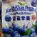 新疆蓝莓干，酸甜可口，多肉多汁，无添加剂，独立包装。
