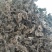 生长在大山里的天然地皮菜靓货经过手工捡干净长年有货