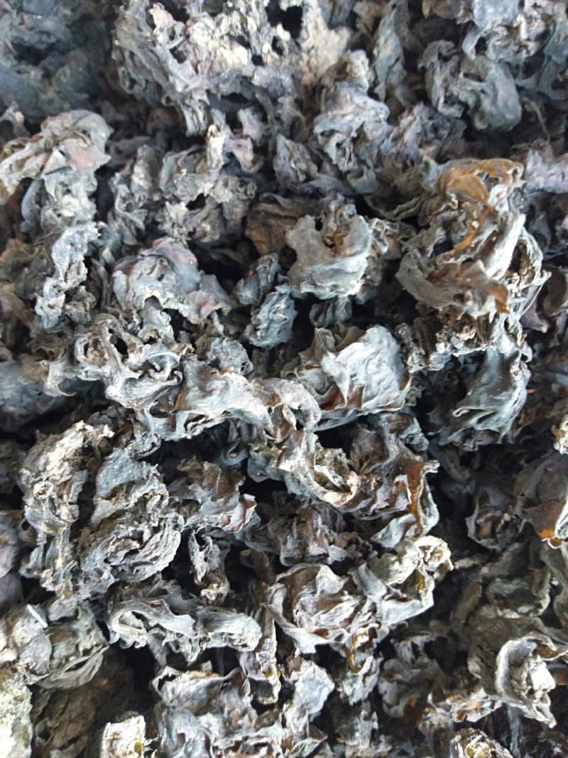生长在大山里的天然地皮菜靓货经过手工捡干净长年有货