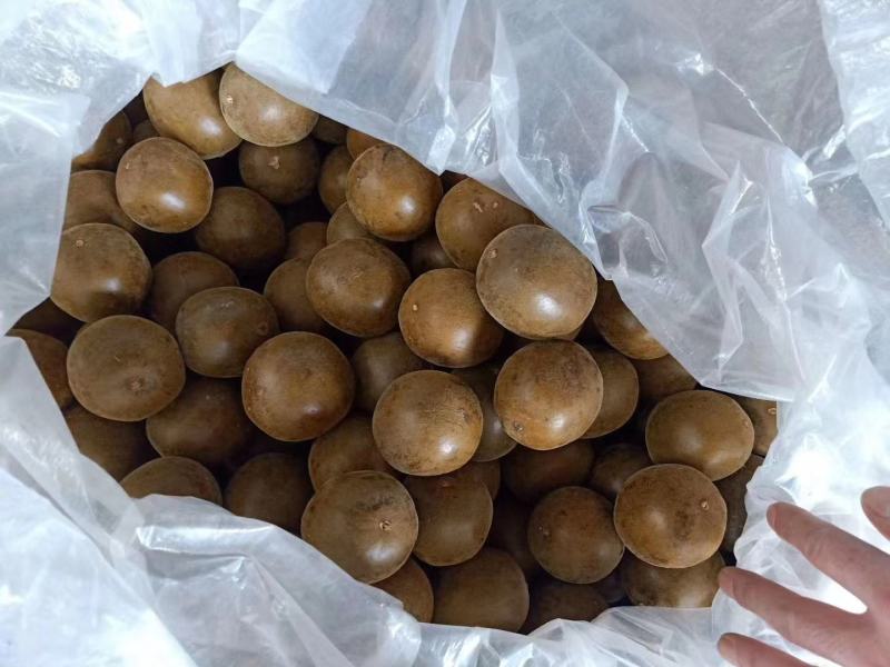 精品罗汉果一手货源产地直发招代理合作商