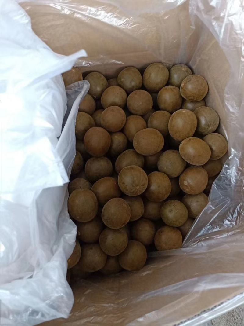 精品罗汉果一手货源产地直发招代理合作商