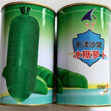 天津沙窝冰糖萝卜种子里外绿色水分多质细味甜