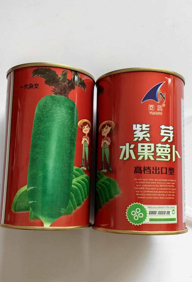 天津沙窝冰糖萝卜种子里外绿色水分多质细味甜高产