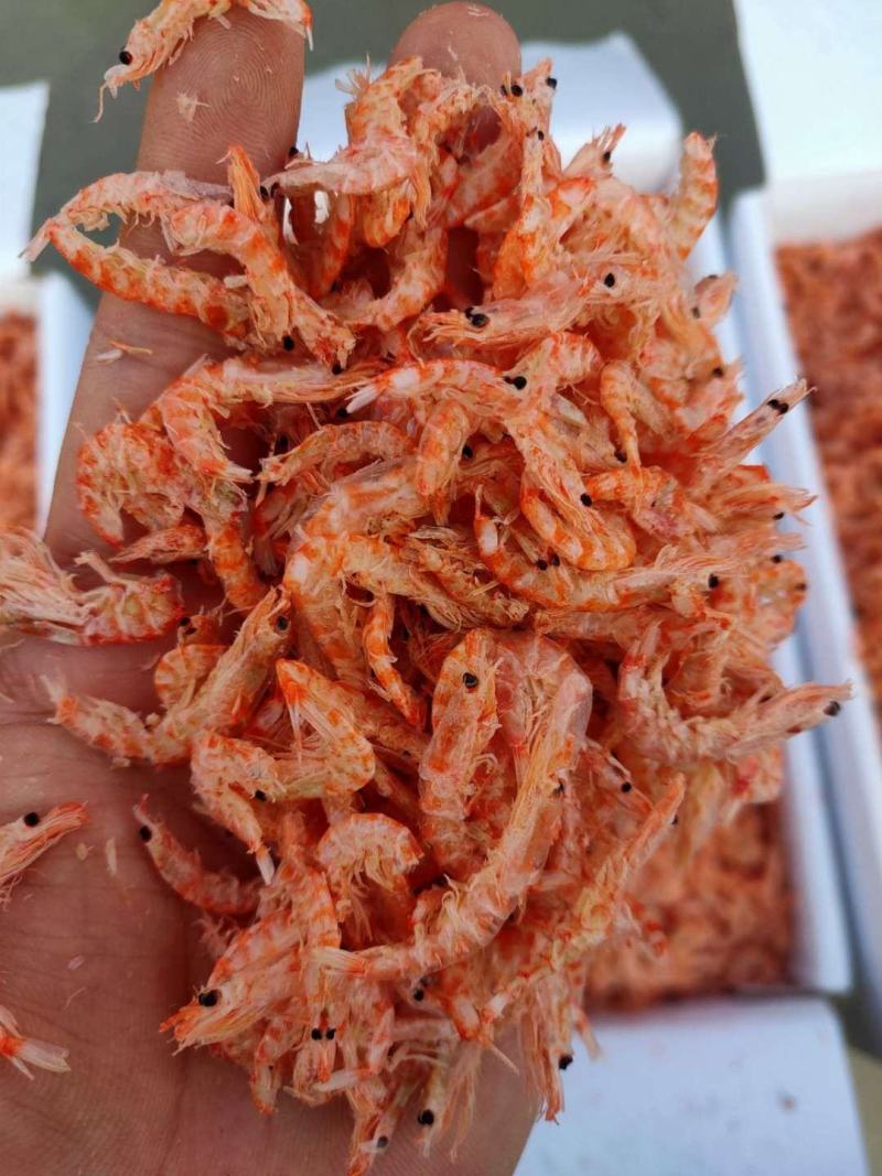 南极磷虾干，厂家直销，一件代发，证件齐全