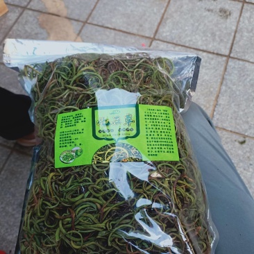 野生中草药化石草肾精草肾精茶批发零售