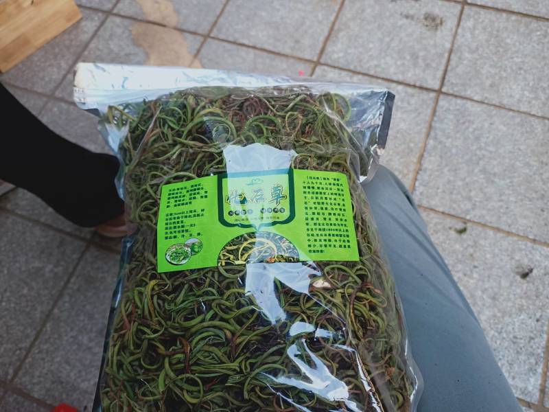 野生中草药化石草肾精草肾精茶批发零售