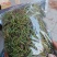 野生中草药化石草肾精草肾精茶批发零售