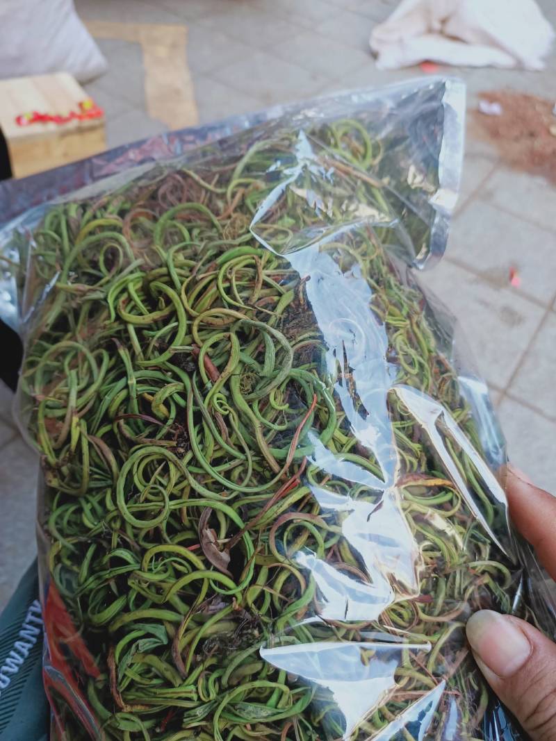 野生中草药化石草肾精草肾精茶批发零售