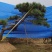 造型黑松造型油松迎客松工程造型松黑松盆景