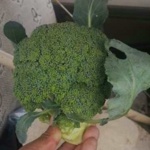 西兰花