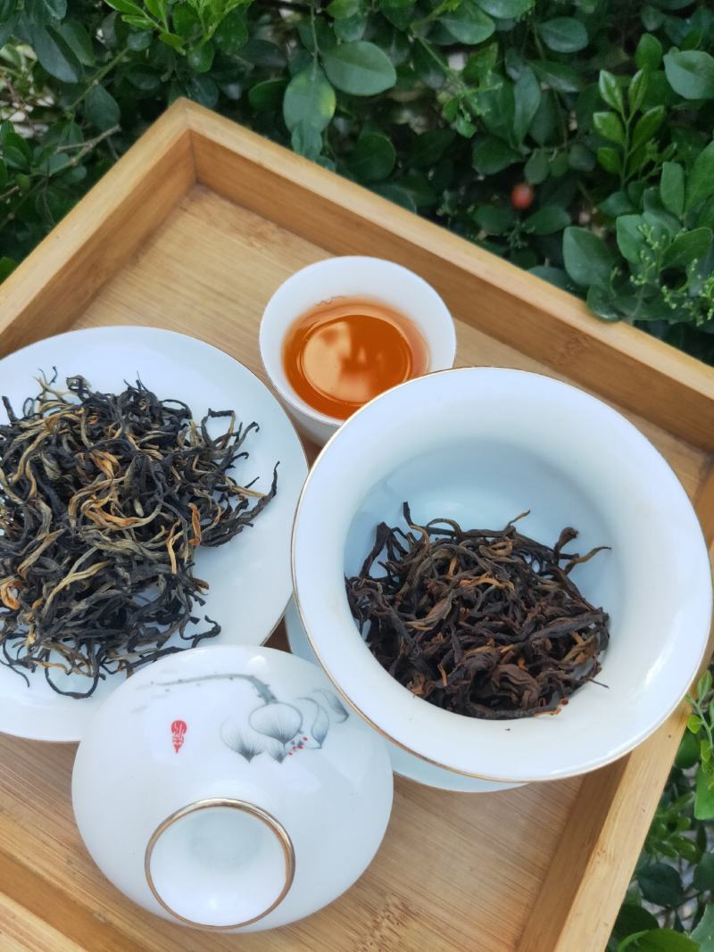 英德红茶英红九号高香红茶