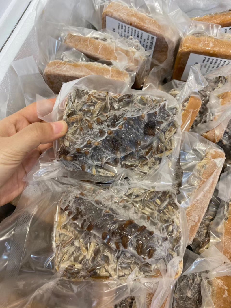 即吃海参鲍汁野米扒关东参关东海参免发海参顺丰包邮