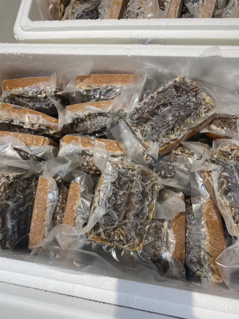 即吃海参鲍汁野米扒关东参关东海参免发海参顺丰包邮