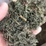 青蒿，山东青蒿，大量现货药厂合作关书药业………
