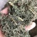 青蒿，山东青蒿，大量现货药厂合作关书药业………