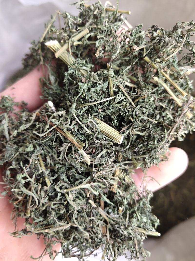 青蒿，山东青蒿，大量现货药厂合作关书药业………